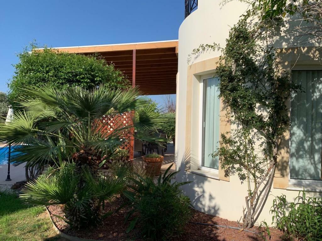 Beach Villa Sofia Neo Chorio Eksteriør billede